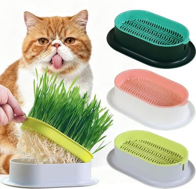 3 Plantbakken voor Kattengras - Hydroponische trays - 18,9 × 12,3 × 4,5 cm - Herbruikbaar - Gemakkelijk te planten - Met beschermend gaas - Geschikt voor binnen, balkon en terras - Verkrijgbaar in 3 kleuren