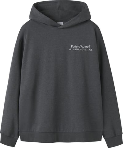 NAME IT - TAMCOX LS HOOD LOGO SWEAT BRU NOOS - Heren - Sweaters