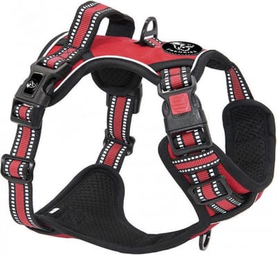Frenkiez Reflective No Pull Comfort Harness, Red, XL