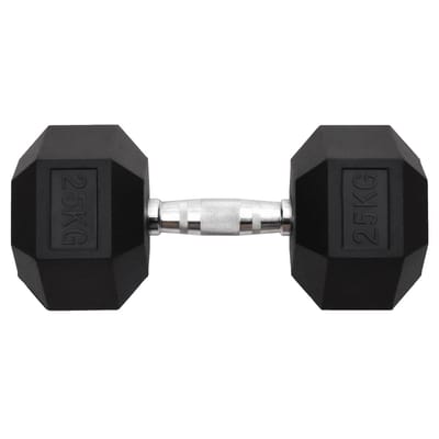 vidaXL - Halters - 25 - kg - gietijzer