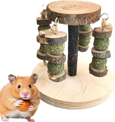Houten Knaagspeelgoed - Tandenknarsblokken Hamster - Tanden Slijpen - Natuurlijk Appelhout - 14x13cm - Natuurlijk