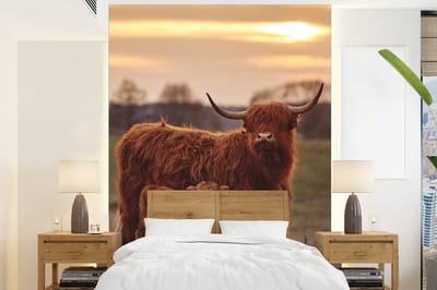 Behang - Fotobehang Schotse hooglander - Dieren - Landschap - Zonsondergang - Koe - Breedte 190 cm x hoogte 260 cm