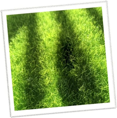 Kunstmos Mat - Decoratief Gras - Miniatuur Tuin - Levensecht Uiterlijk - 30x30cm - Groen