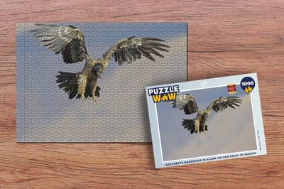 Puzzel Gestrekte baardgier is klaar om een prooi te vangen - Legpuzzel - Puzzel 1000 stukjes volwassenen