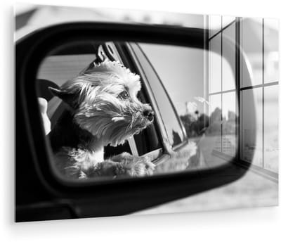 ® Glasschilderij 180x120 cm - Schilderij acrylglas - Een Yorkshire Terrier kijkt uit een autoraam - Foto op glas - Muurdecoratie woonkamer - Wanddecoratie slaapkamer - Schilderijen