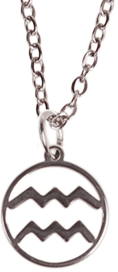 Kinderketting Zilverkleurig 45cm - Hangertje Sterrenbeeld RVS - Waterman