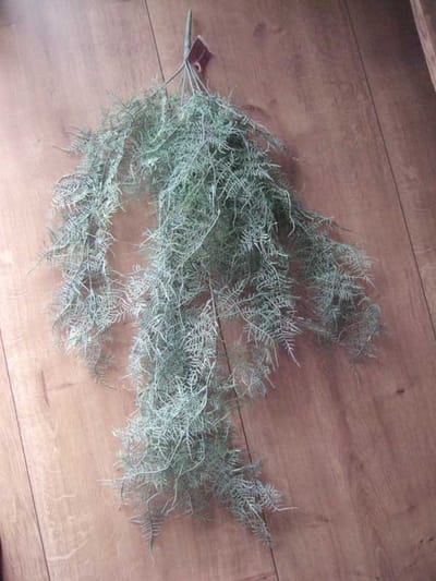 Countryfield Kunstplant steker/hang Monilophyta frosty
