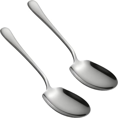 Dailygoods- Opscheplepel Set van 2 - Roestvrij Staal - 25 cm Grote Kooklepel - Lange Handgrepen - Voedselveilig - Duurzaam Materiaal - Serveerlepel