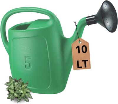 Gieter 10 liter - Tuingieter met diffuser en comfortabele handgreep