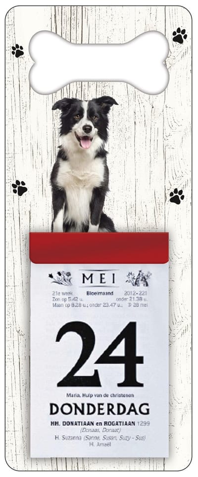 Scheurkalender 2027 Hond: bordercollie