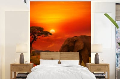 Behang - Fotobehang Olifant - Zonsondergang - Oranje - Savanne - Dieren - Breedte 175 cm x hoogte 240 cm