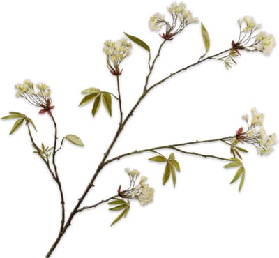 Silk-ka Kunstbloem-Zijden Bloemen Esdoorn Tak Crème 110 cm