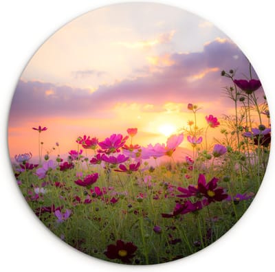 WallCircle - Wandcirkel 30x30 - Bloemen - Roze - Zonsondergang - Natuur - Weide - Horizon - Ronde schilderijen woonkamer - Wandbord rond - Muurdecoratie cirkel - Kamer decoratie binnen - Wanddecoratie muurcirkel - Woonaccessoires