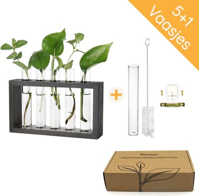 Homium Stekstation zwart 5+1 vaasjes - hout - 16.5 cm - reageerbuisjes - glaasjes - hydrocultuur