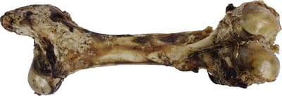 Kauwsnack Petsnack Dinobot XXL - 100% Rund, Grote Honden Traktatie - 1 Stuk
