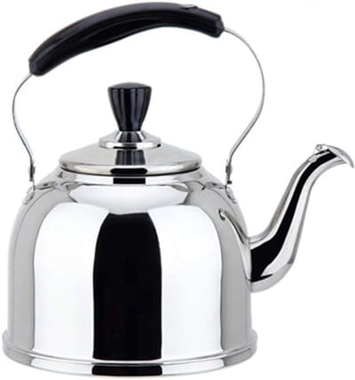 Waterkoker RVS - Theeketel Fluitketel - Water Koken - Voedselveilig Roestvrij Staal - 5L - Zilver