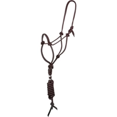 Halster en longe voor paard met knoop Pool's