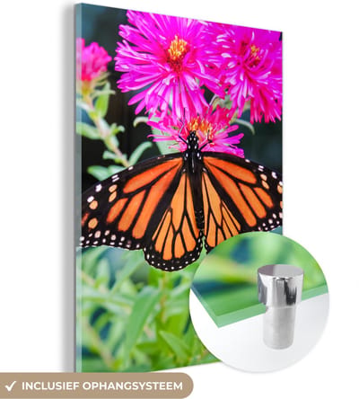 MuchoWow® Glasschilderij 30x40 cm - Schilderij acrylglas - Vlinder - Botanisch - Bloemen - Foto op glas - Schilderijen