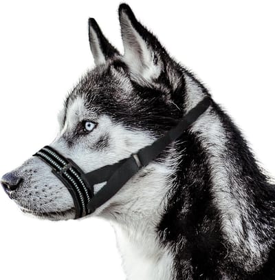 Honden Muilkorf - Honden Ademband - Gedragstraining Hond - Verstelbaar Met Reflectie - Omtrek 24-28cm - Zwart