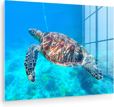 MuchoWow® Glasschilderij 80x60 cm - Schilderij acrylglas - Schildpad - Zee - Blauw - Foto op glas - Muurdecoratie woonkamer - Wanddecoratie slaapkamer - Schilderijen