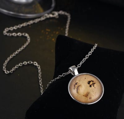 GoedeDoelen.Shop | Medaillon ketting Best Friend Dog | Statement Ketting | Dierenliefde | Rescue Paws | Paws | Cadeautje | Wellness-House