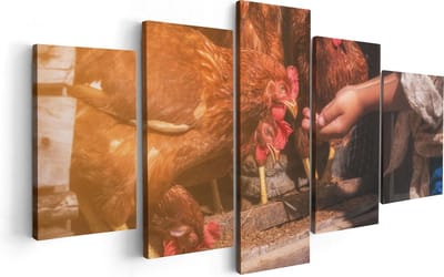 Artaza Canvas Schilderij Vijfluik Kippen Krijgen te Eten - 100x50 - Foto Op Canvas - Canvas Print