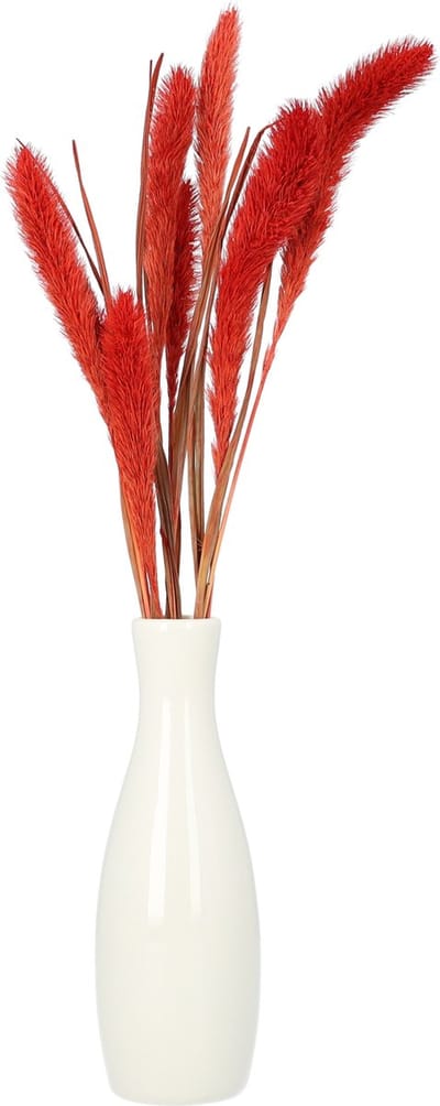 QUVIO Vaas - Vaasje - Bloemenvaas - Vaasjes - Vazen - Voor echte bloemen - Voor droogbloemen - Woondecoratie - Voor binnen - Keramiek - Wit  - 5 x 5 x 16 cm