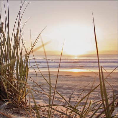Art for the Home Zonsondergang Duinen Buitencanvas 50x50 cm