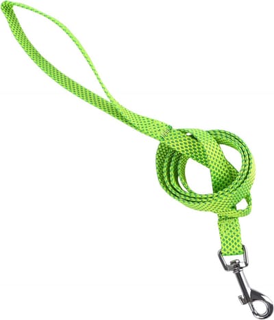 Nobleza Hondenriem - Lichtgroen - Nylon - Maat M - Lengte 120 cm - Fluorescerend - Gestipt - Groen