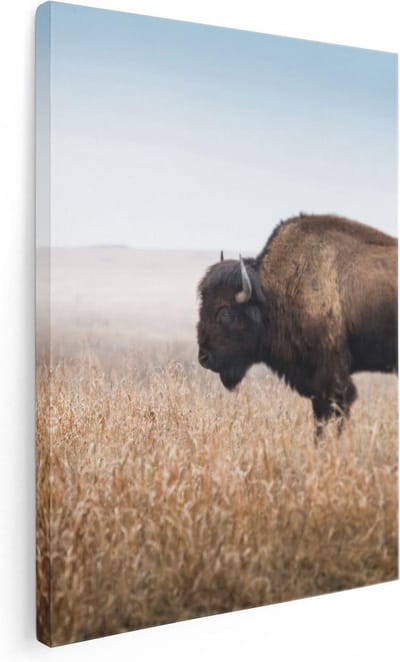Artaza Canvas Schilderij Buffel - 30x40 cm - Klein - Wanddecoratie Wilde Dieren - Muurdecoratie Natuur - Kamer Accessoires Landschap