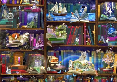 Bluebird - Legpuzzel - Library Adventures in Reading - 3000 (*let op) stukjes