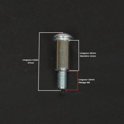 Originele schroef voor motorfiets Gilera 50 SMT 00H01100172 Gloednieuw