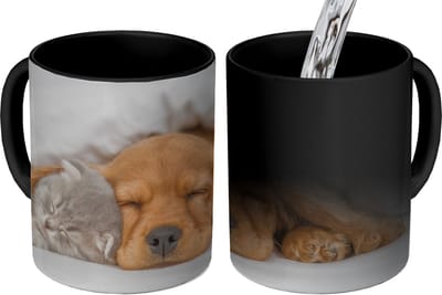 Magische Mok - Foto op Warmte Mokken - Koffiemok - huisdieren - hond - Kat - Deken - Magic Mok - Beker - 350 ML - Theemok