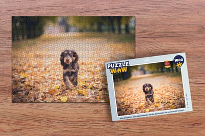 Puzzel Een Engelse cockerspaniël die de bladeren in de Herfst bekijkt - Legpuzzel - Puzzel 1000 stukjes volwassenen