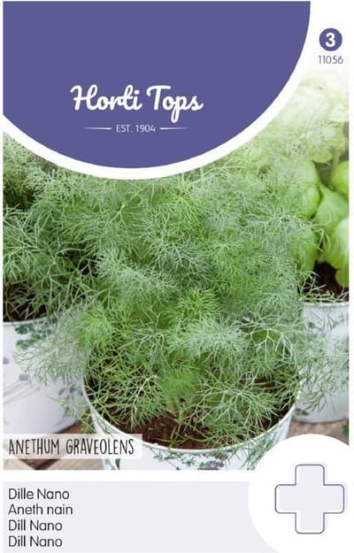 Hortitops - Dille Nano (Anethum graveolens)