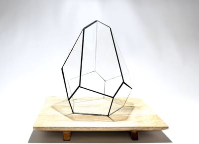 Geometric Terrarium - Jungle Gem - Vivarium - ↑ 16 x 15 x 19,5 cm (LxWxH) - Glass | Florazo