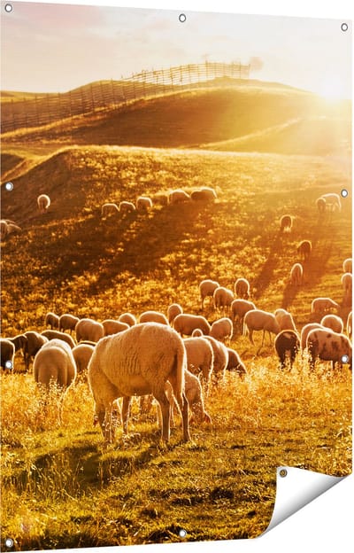 Gards Tuinposter Schapen in de Heuvels bij Zonsondergang - 90x120 cm - Tuindoek - Tuindecoratie - Wanddecoratie buiten - Tuinschilderij