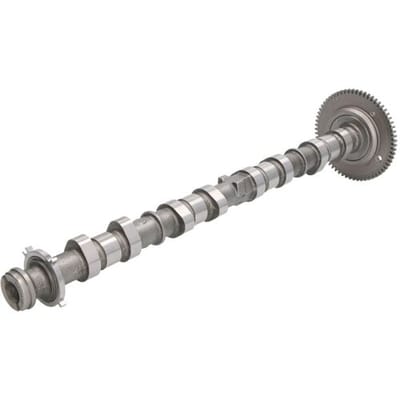 Nokkenas  AE CAM1036