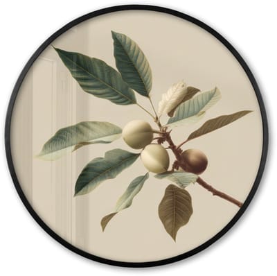 Poster in lijst Rond - Fotolijst 60x60 cm - Posters - Tak - Groene Bladeren - Vruchten - Ronde posterlijst zwart - Decoratie - Wanddecoratie woonkamer - Muurdecoratie slaapkamer