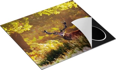 Chefcare Inductie Beschermer Hert in de Bossen - 60x50 cm - Afdekplaat Inductie - Kookplaat Beschermer - Inductie Mat