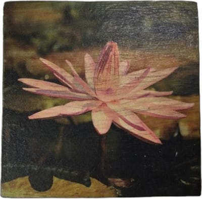 10x Onderzetter 10x10 cm Bloemen waterlelie