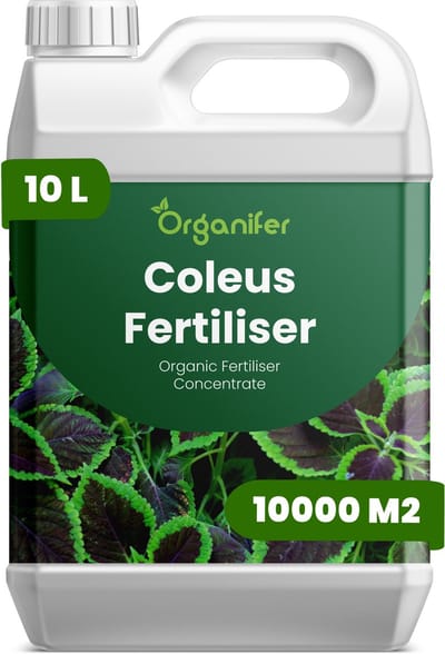 Vloeibare Meststof Voor Coleus 10 L Voor 10000 M2 - Npk 3-4-3 - Krachtige Groei - Bladkleurintensiteit - Sterke Wortels - Weerbaarheid - Bladontwikkeling - Bladvernieuwin - Weelderige Planten - Organifer