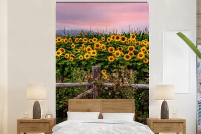 Behang - Fotobehang Zonnebloem - Bloemen - Planten - Breedte 155 cm x hoogte 240 cm