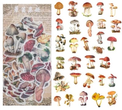 Washi Stickers Thema Paddestoelen - 60 Stickers - Paddestoelen Soorten Sticker - Bullet Journal - Stickers Voor Volwassenen - Scrapbooking - Agenda Stickers - Decoratie Sticker Washi Tape