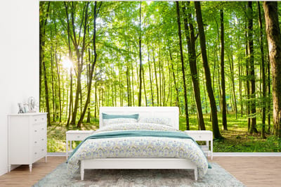 Behang - Fotobehang Natuur - Bomen - Bos - Groen - Zonlicht - Breedte 320 cm x hoogte 240 cm
