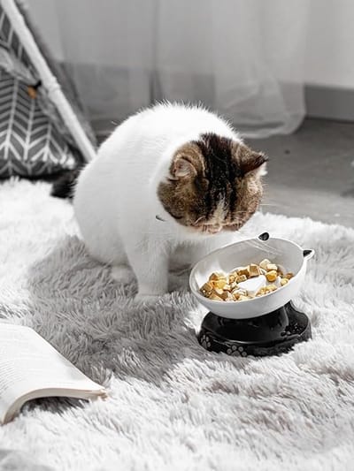 Famanu - Keramische Verhoogde Langzame Voerbak voor Katten en Honden – Gekanteld Ontwerp, Zonder Zwarte Kin, Kattenvorm, voor Droog en Nat Voedsel, Zwart