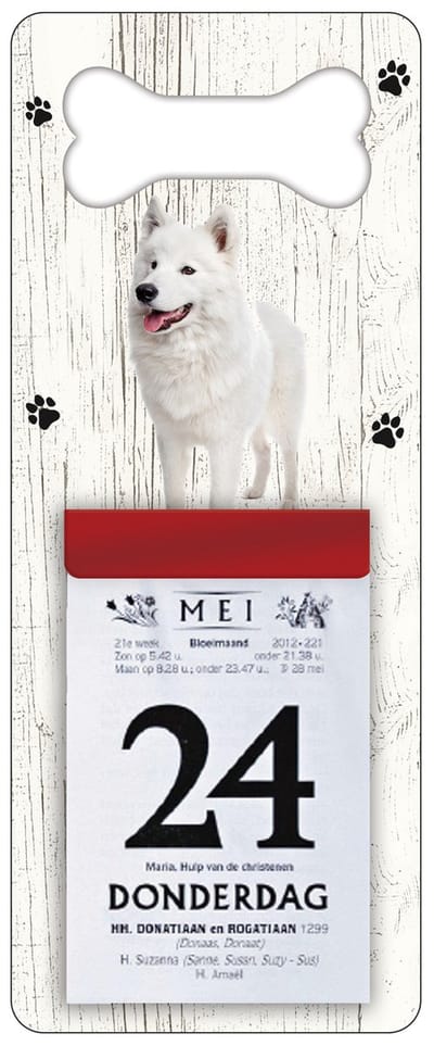 Scheurkalender 2027 Hond: Samojeet