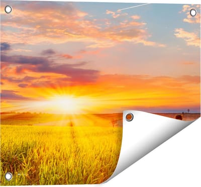 Gards Tuinposter Zonsopgang op het Ma�sveld - 50x40 cm - Tuindoek - Tuindecoratie - Wanddecoratie buiten - Tuinschilderij