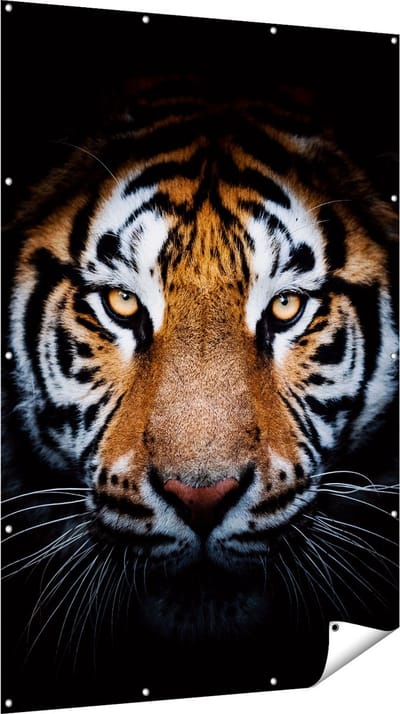 Gards Tuinposter Tijger op Zwart Achtergrond - 120x180 cm - Tuindoek - Tuindecoratie - Wanddecoratie buiten - Tuinschilderij