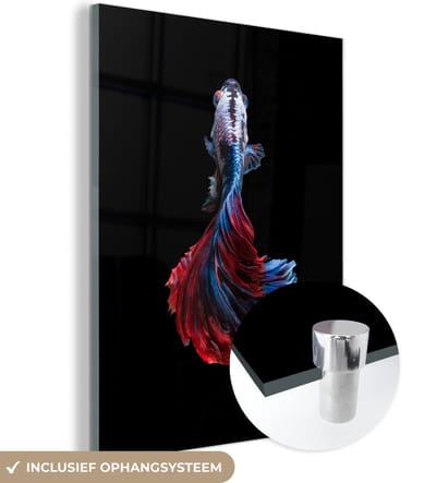 MuchoWow® Glasschilderij 120x160 cm - Schilderij acrylglas - Vis - Staart - Zwart - Foto op glas - Schilderijen